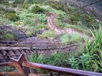 Adams Peak trail