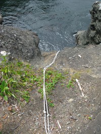 Cape Flattery climbing rope