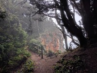 Cape Sabastian trail