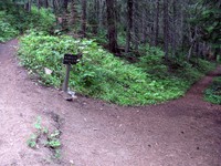 Crystal Lake Peak trail split