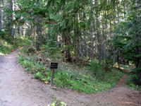 Crystal Lakes Peak trail split