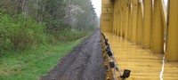 Cumberland log train
