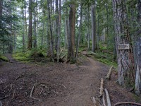 Echo Lake and Maggie Creek trail junction