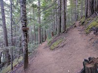 Echo and Lost Lake trail junction