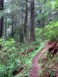 Fort Columbia trail