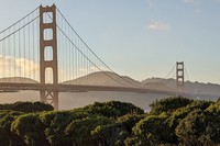 Golden Gate Bridge above bushes