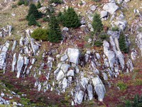 Granite Mountain trail