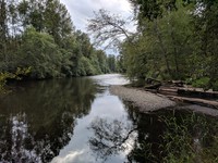 Green River on school trail