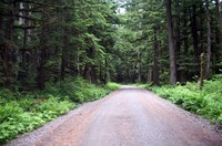 Ipsut Creek Road
