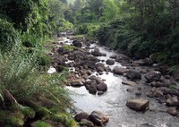 Kelani River