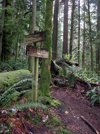 Lingering Trail Dwights Way Trail