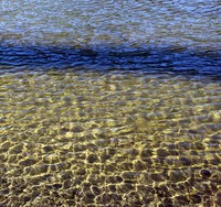 Tipsoo Lake ripples
