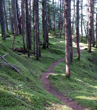 West Snooka Creek viewpoint trail