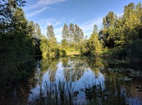 a pond near Enumclaw