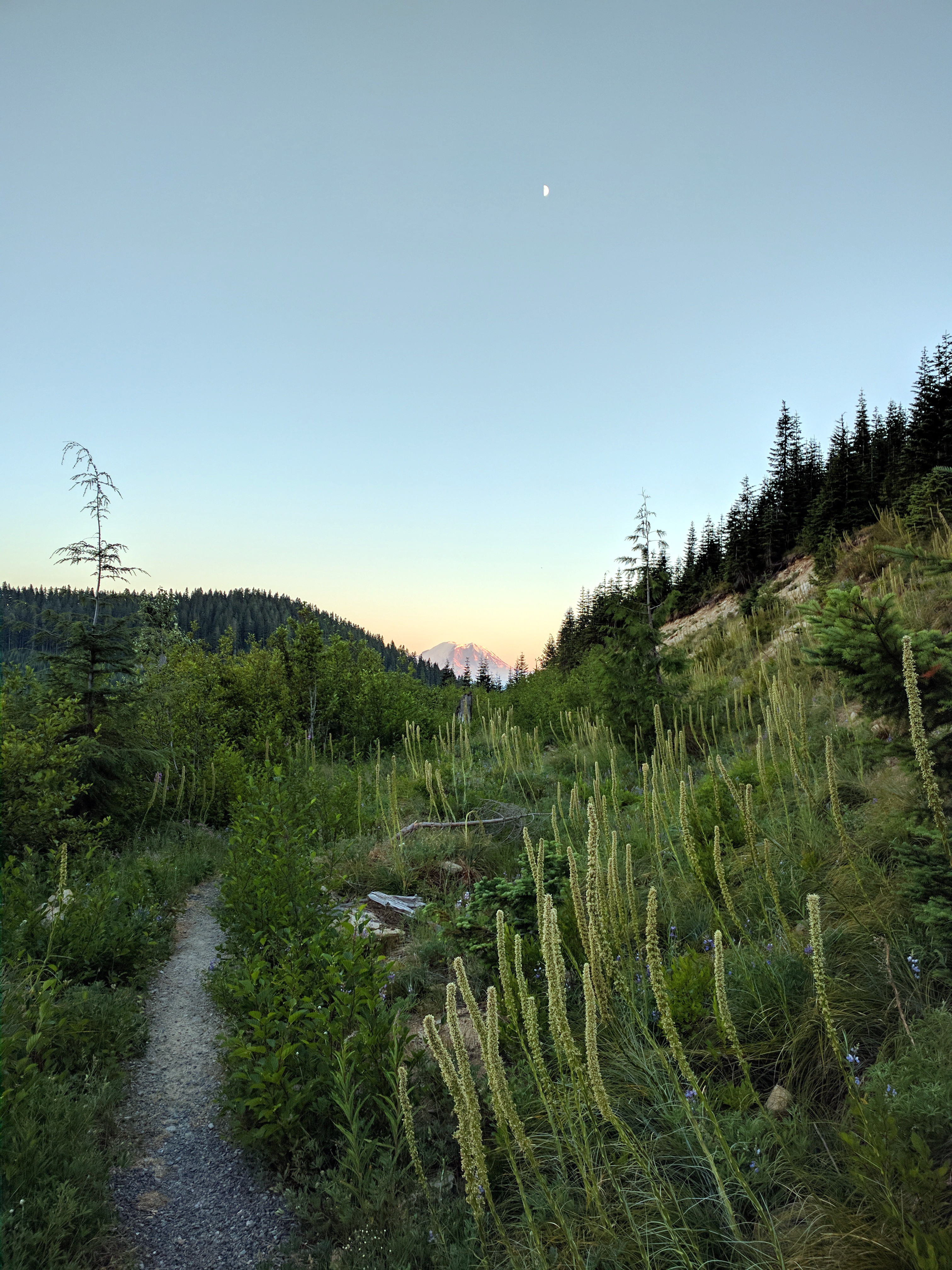Hansen Ridge Trail