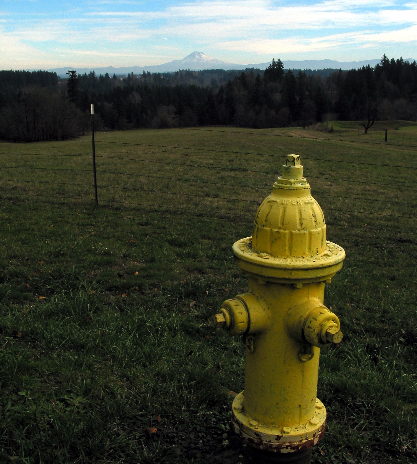 Hatton Road fire hydrant with Mt Hood 117