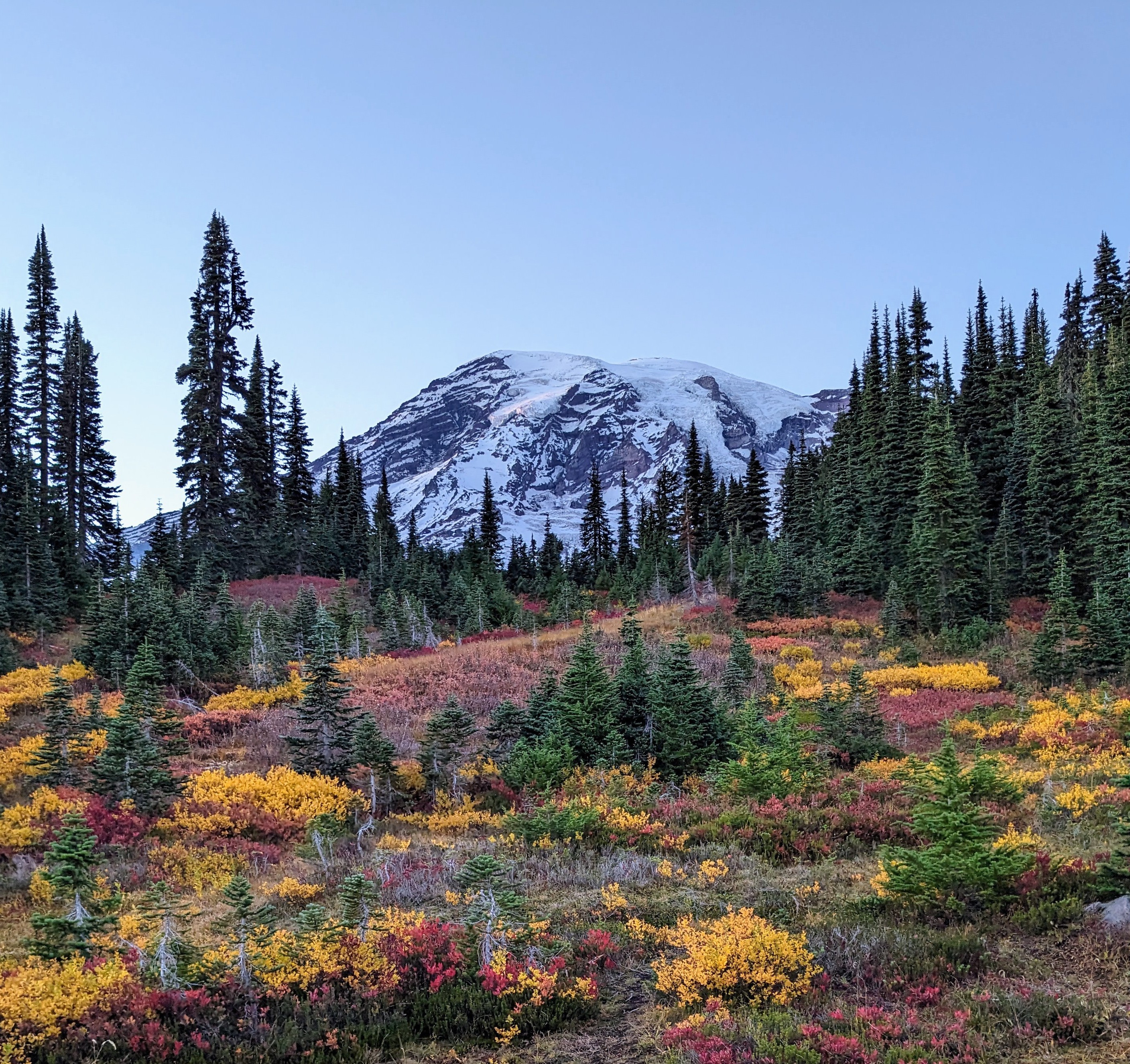 Mt Rainier Paradise in the fall