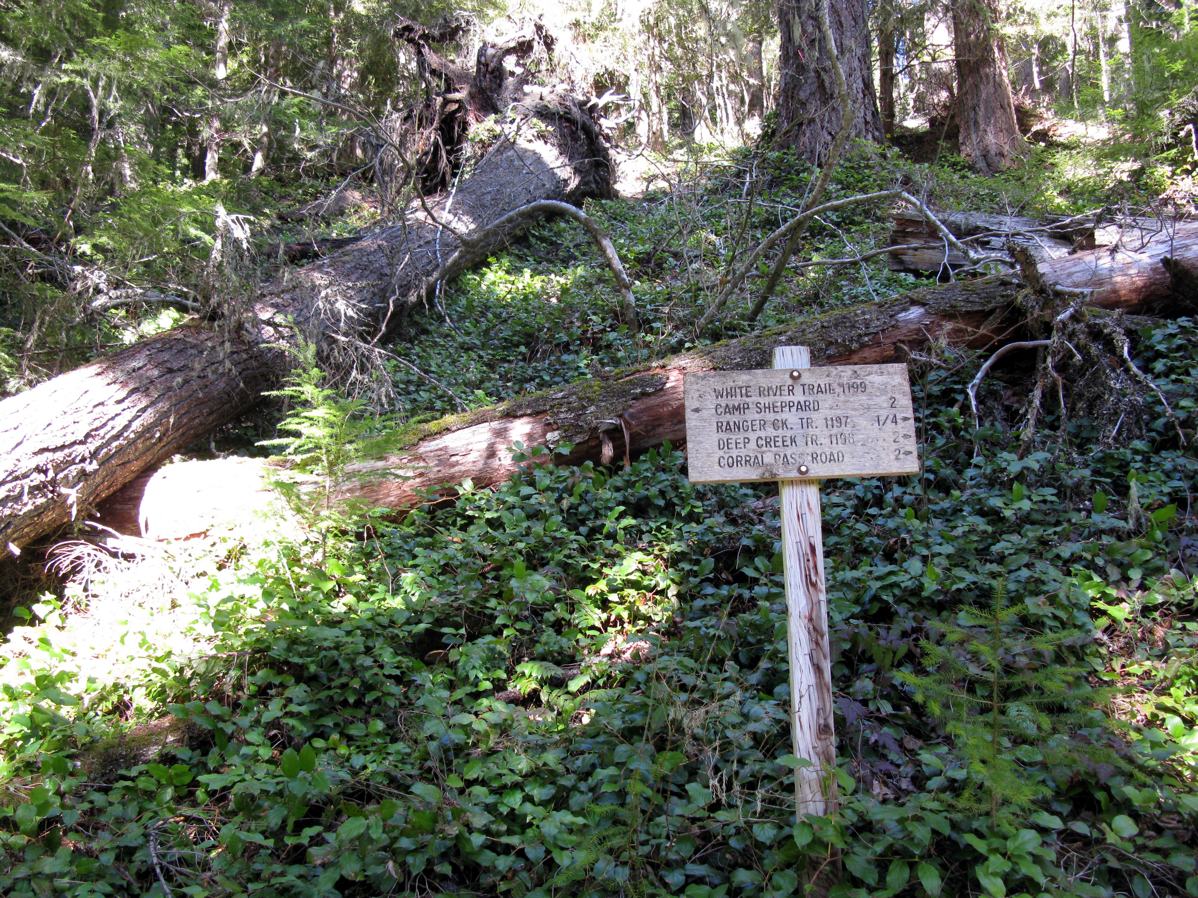 Ranger Creek trailhead sign
