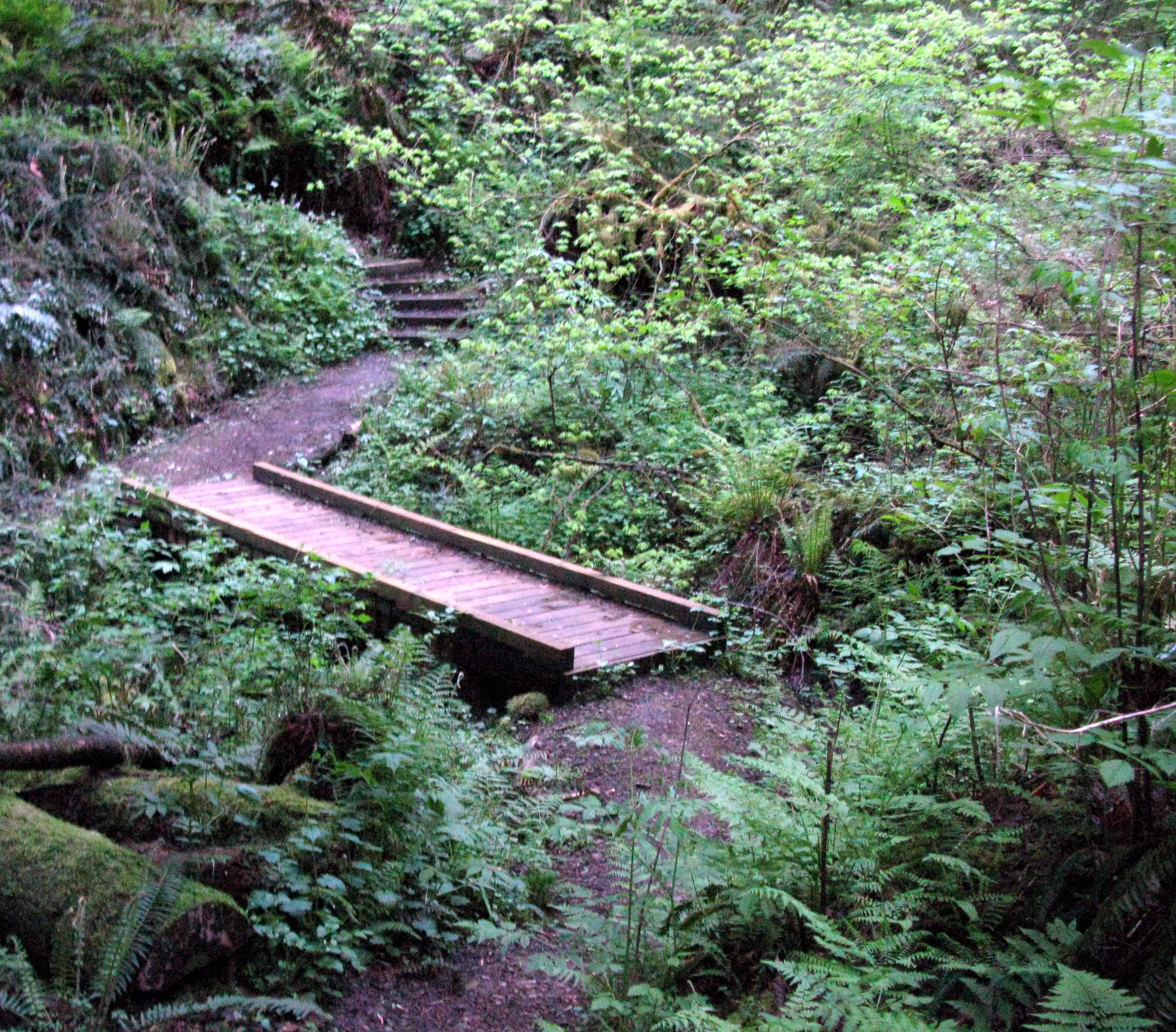 Squak Mountain trail bridge