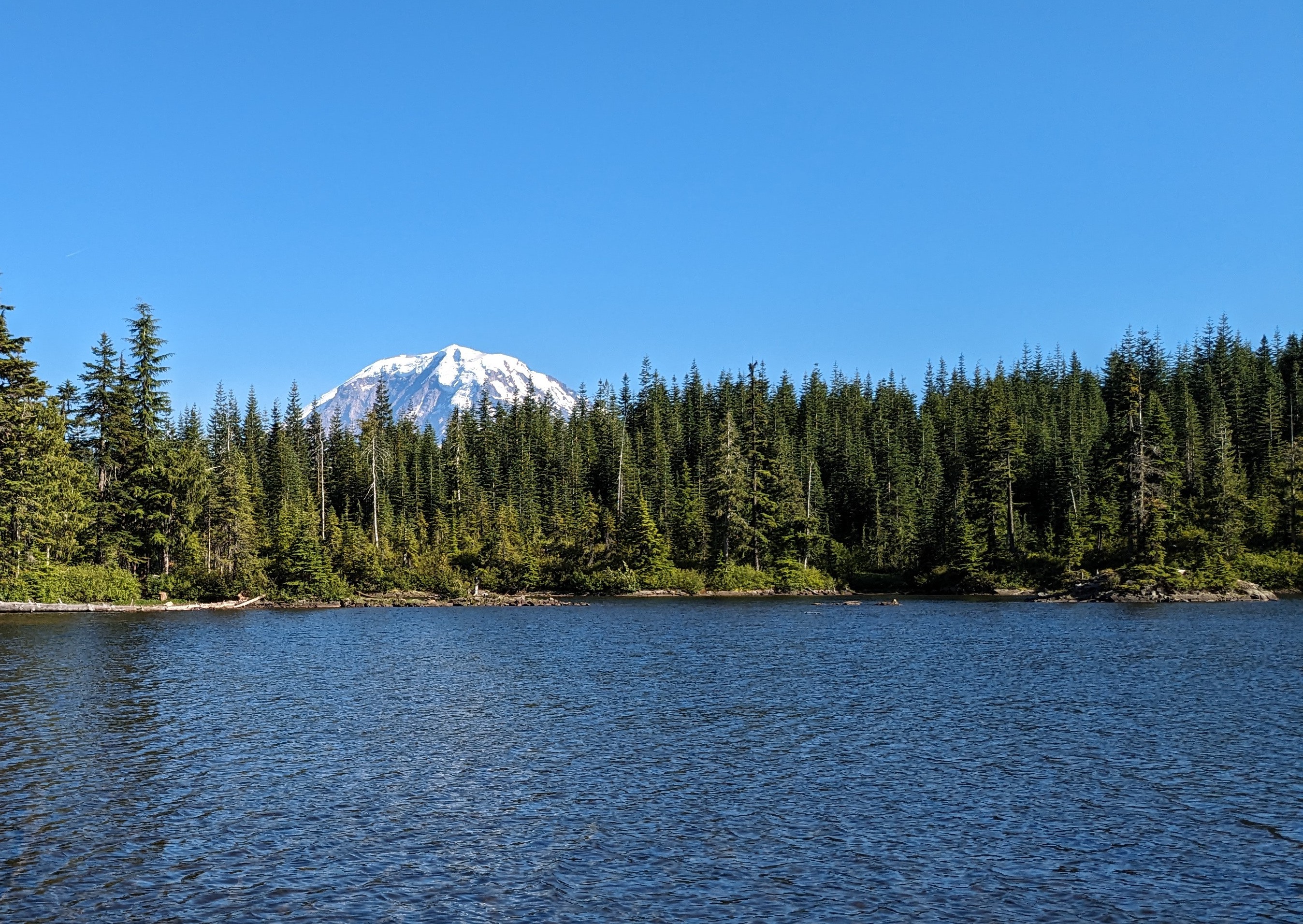 Surprise Lake in front of Mt Rainier