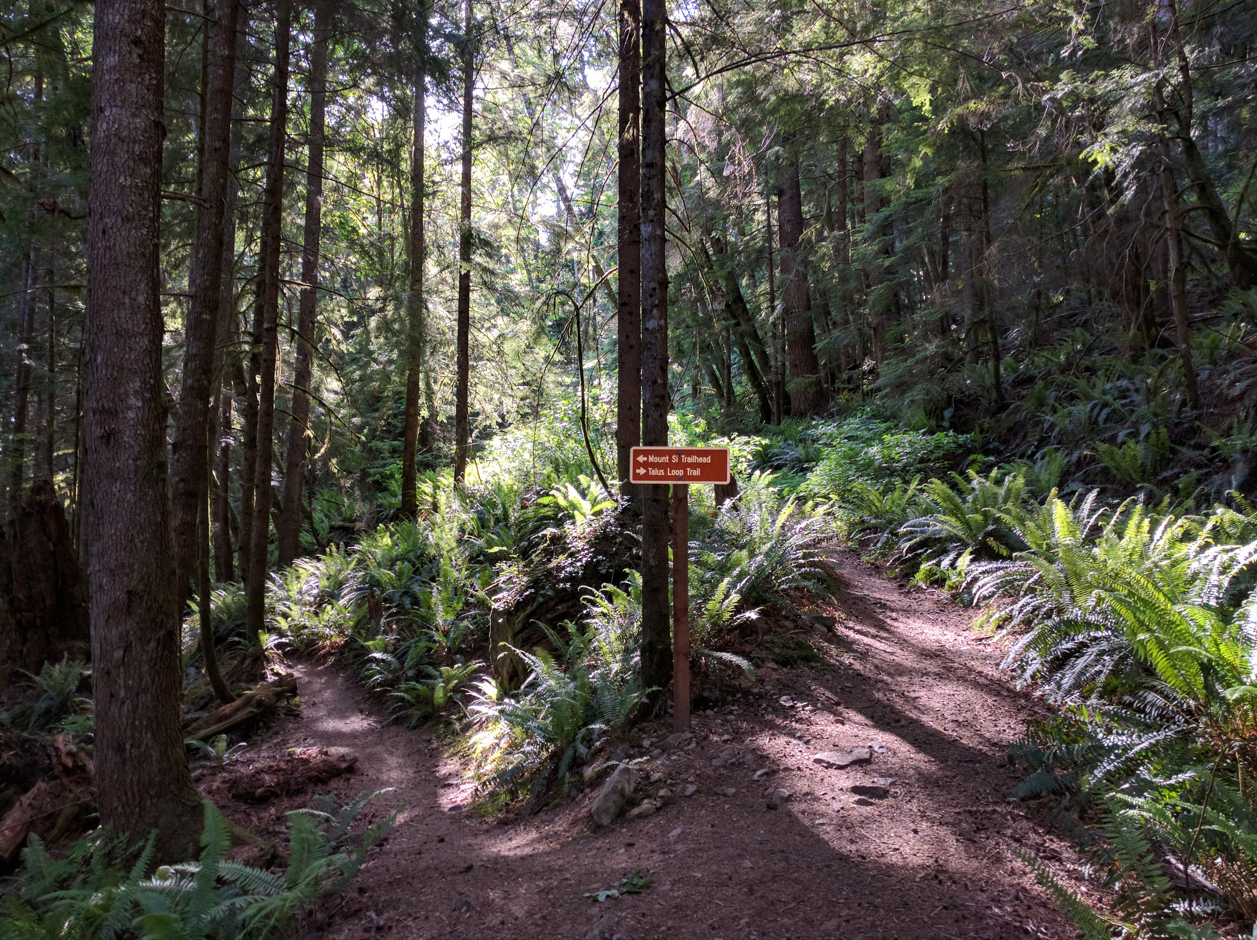 Talus Loop trail sign