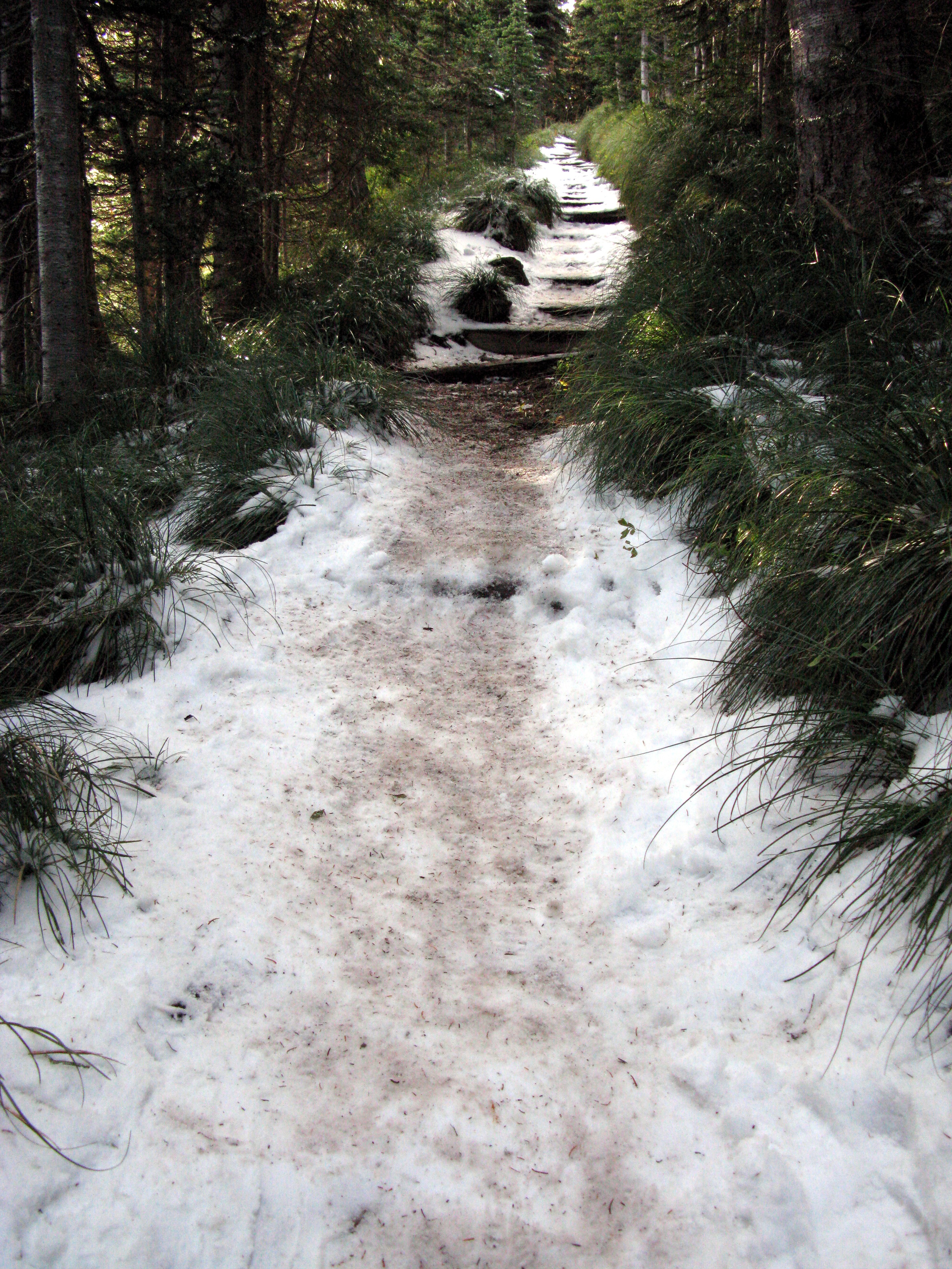 Tolmie Peak trail