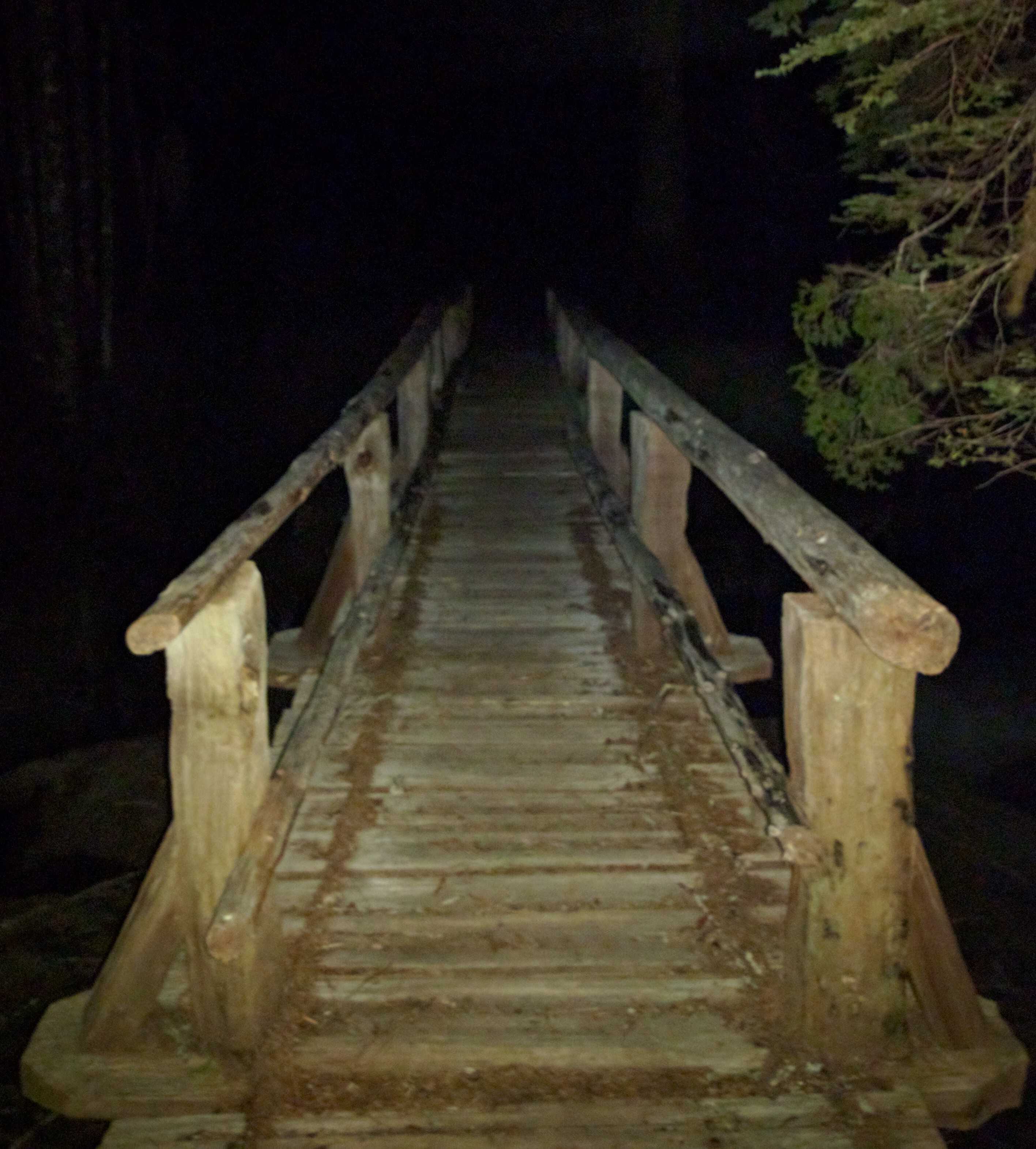 bridge to the night