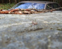 car under rock