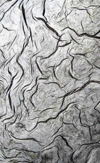 driftwood pattern
