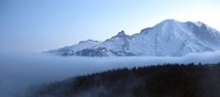 fog bank Rainier