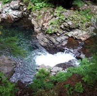 fractal scene below Franklin Falls