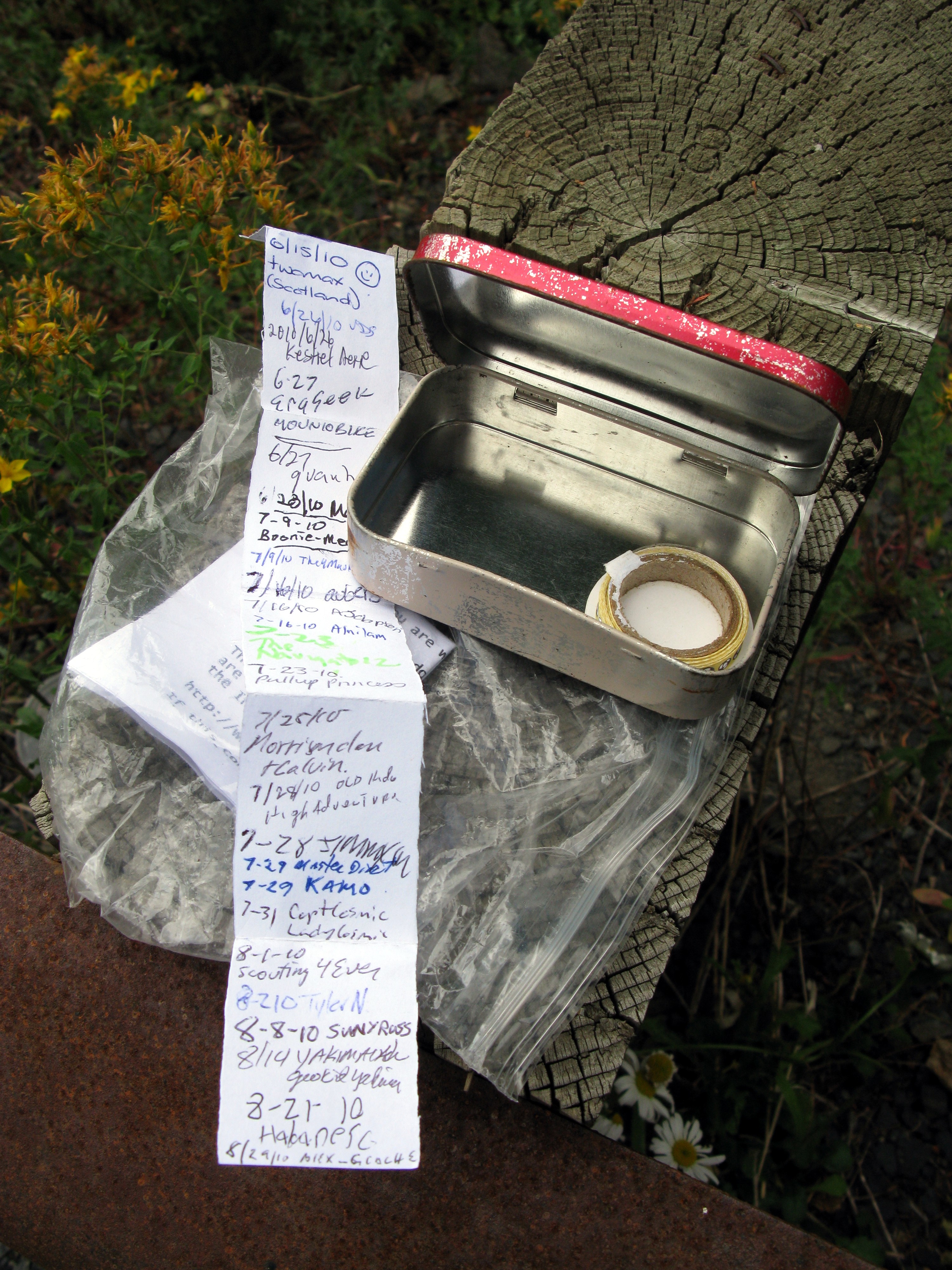 geocache MMT Hwy 410 Chinook Pass con