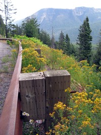 geocache MMT Hwy 410 Chinook Pass inp