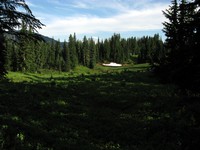 meadow above Cayuse Pass