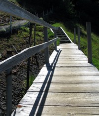 old Saddle Mt trail walkway