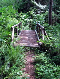 old bridge on a tiger mt trail