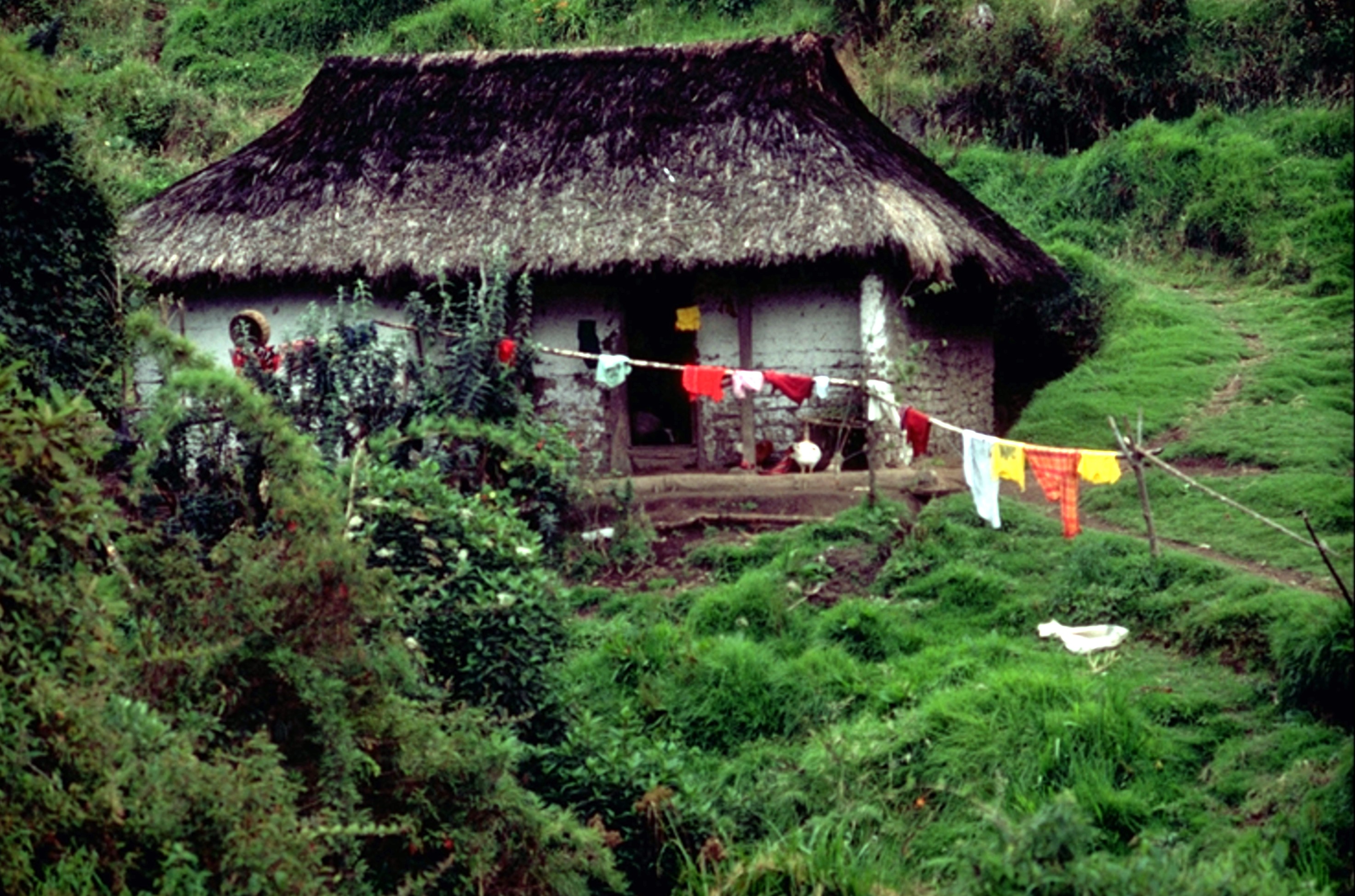 Equador or Colombian house