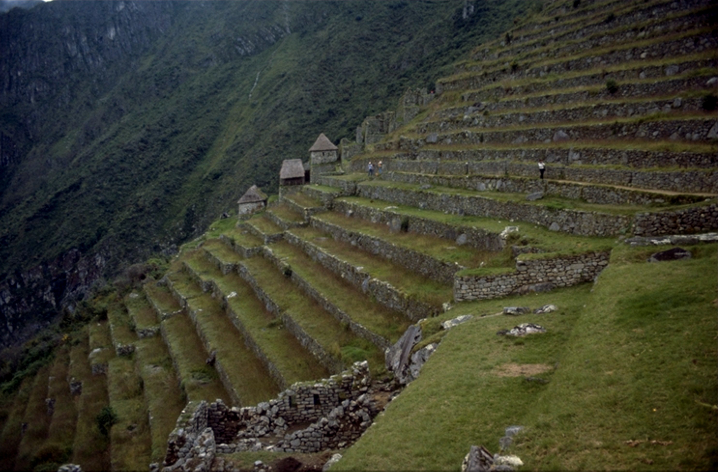 Machu Picchu terraces 1980