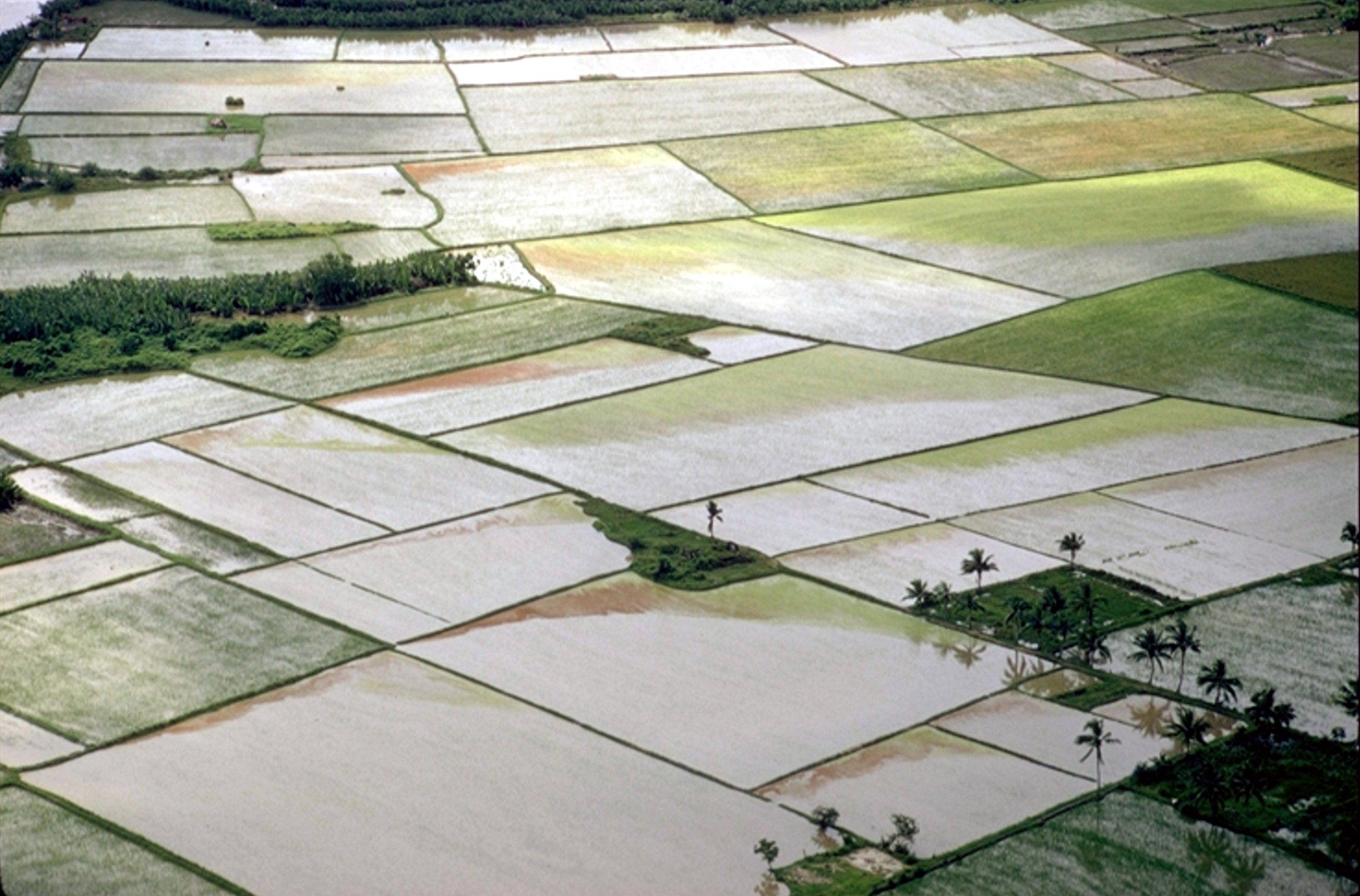 Vietnam rice paddies from the air