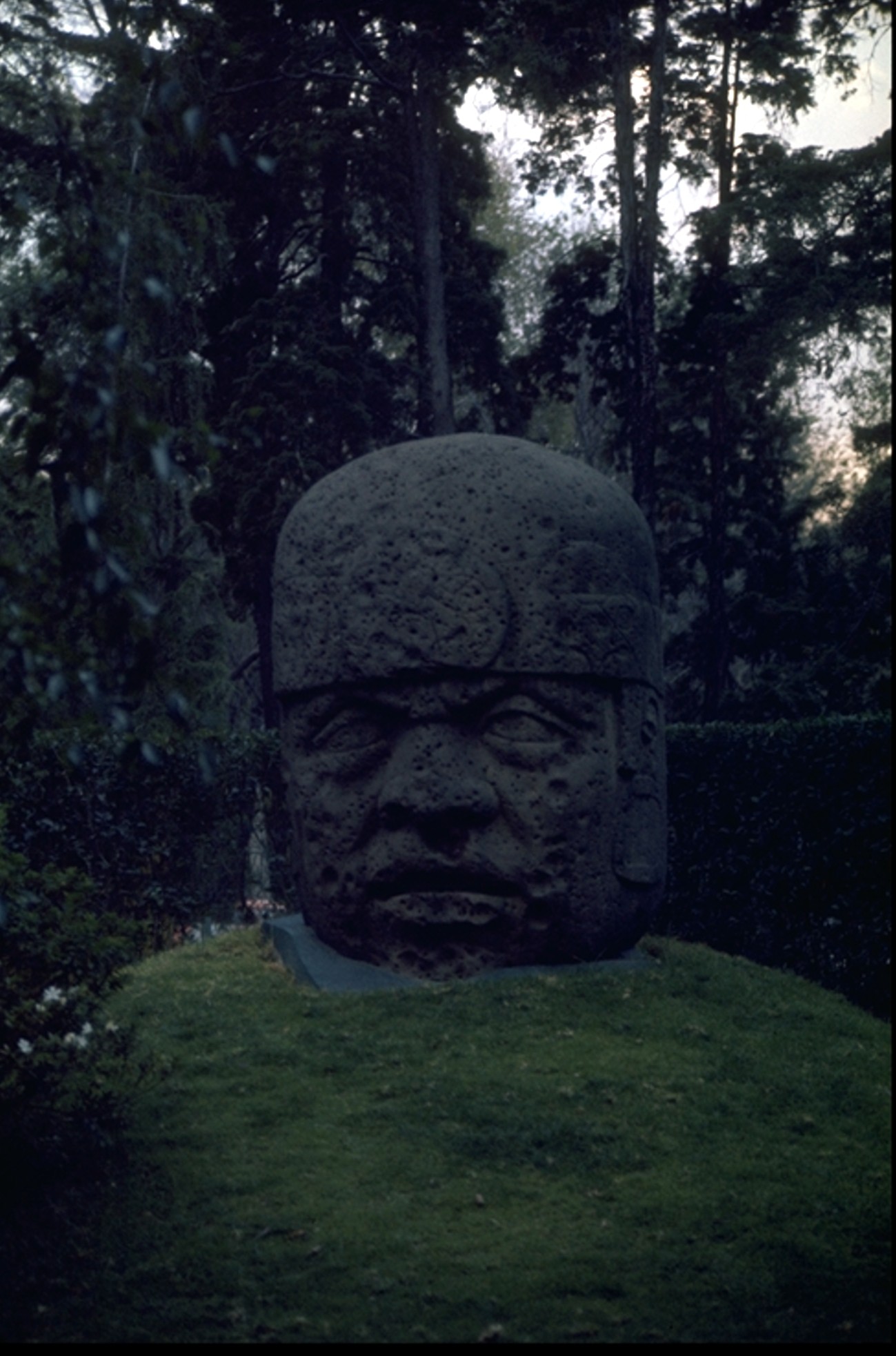 big rock Olmec head suffering from boredom 1975