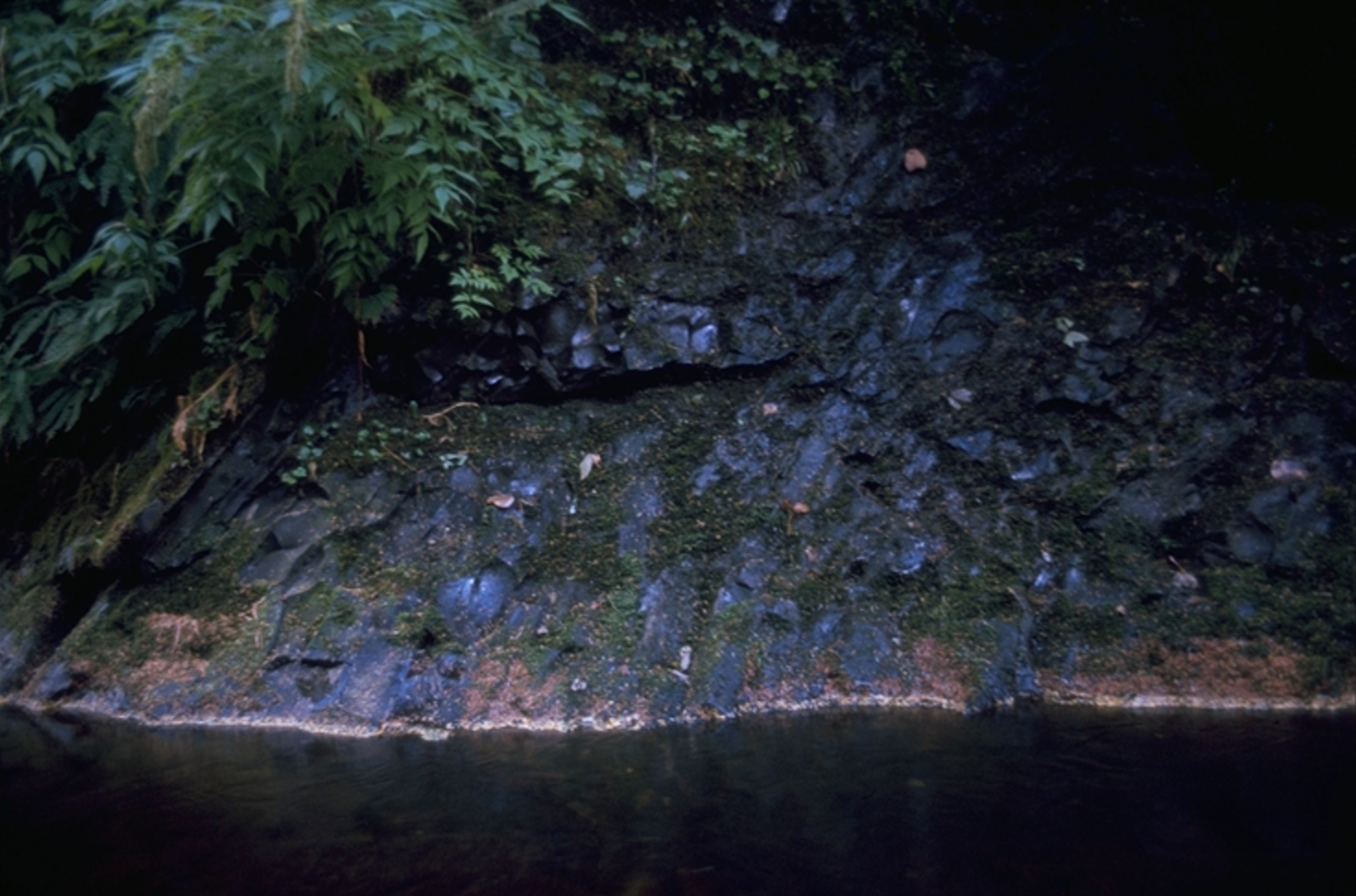 creek at Short Sands 1971