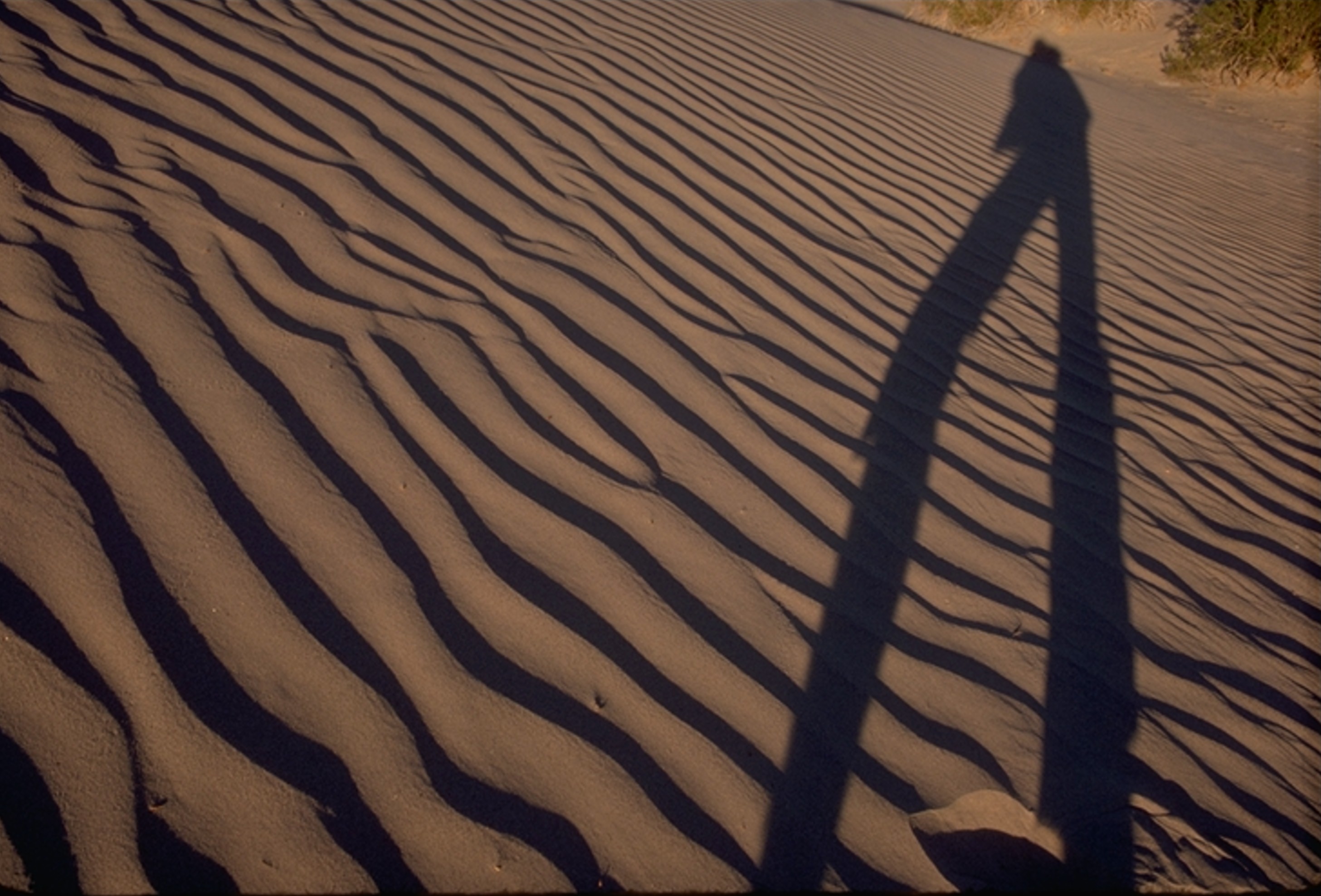 long Death Valley dune shadow