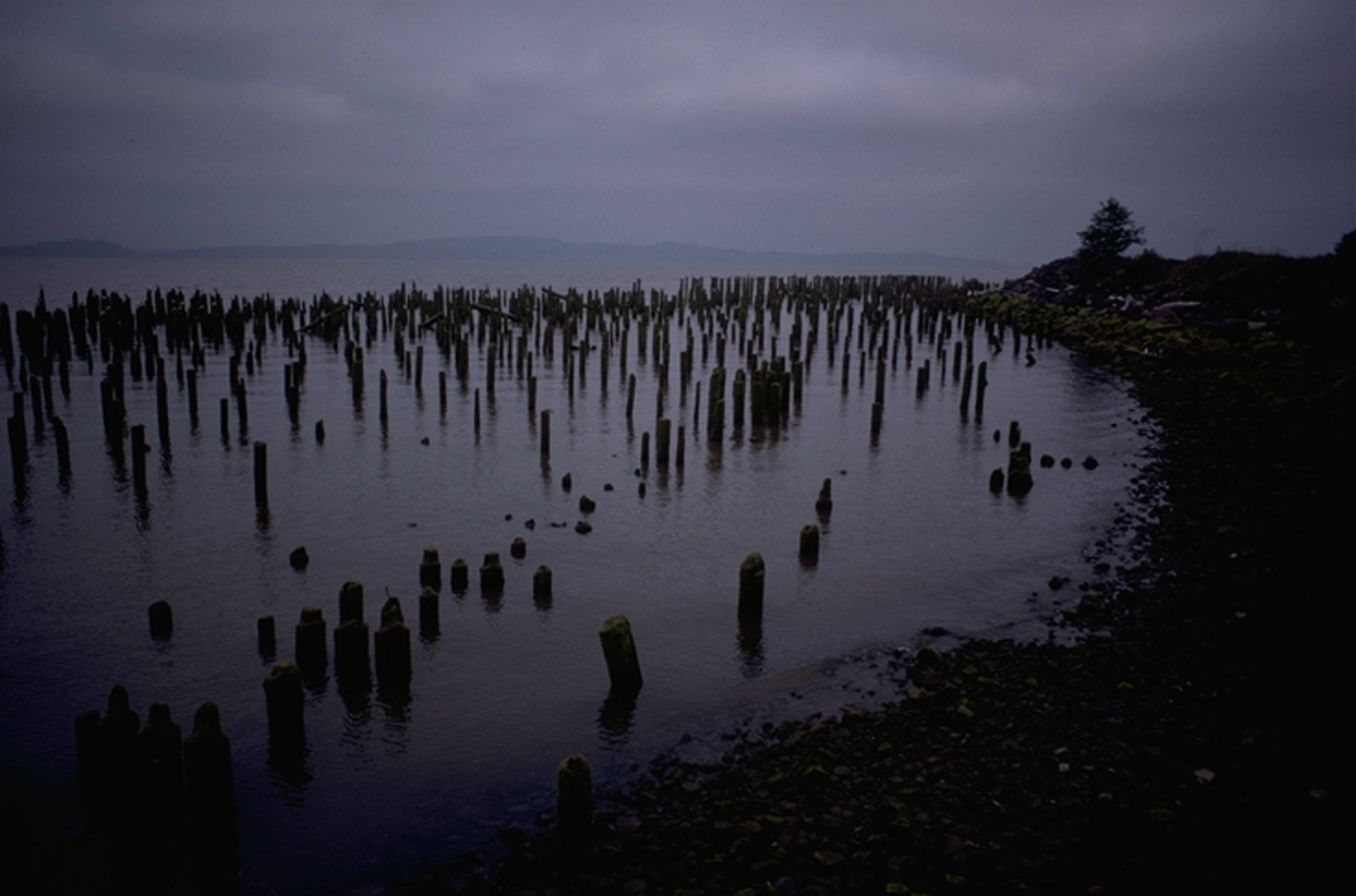 old pilings on Washington side of Columbia River near mouth 1971