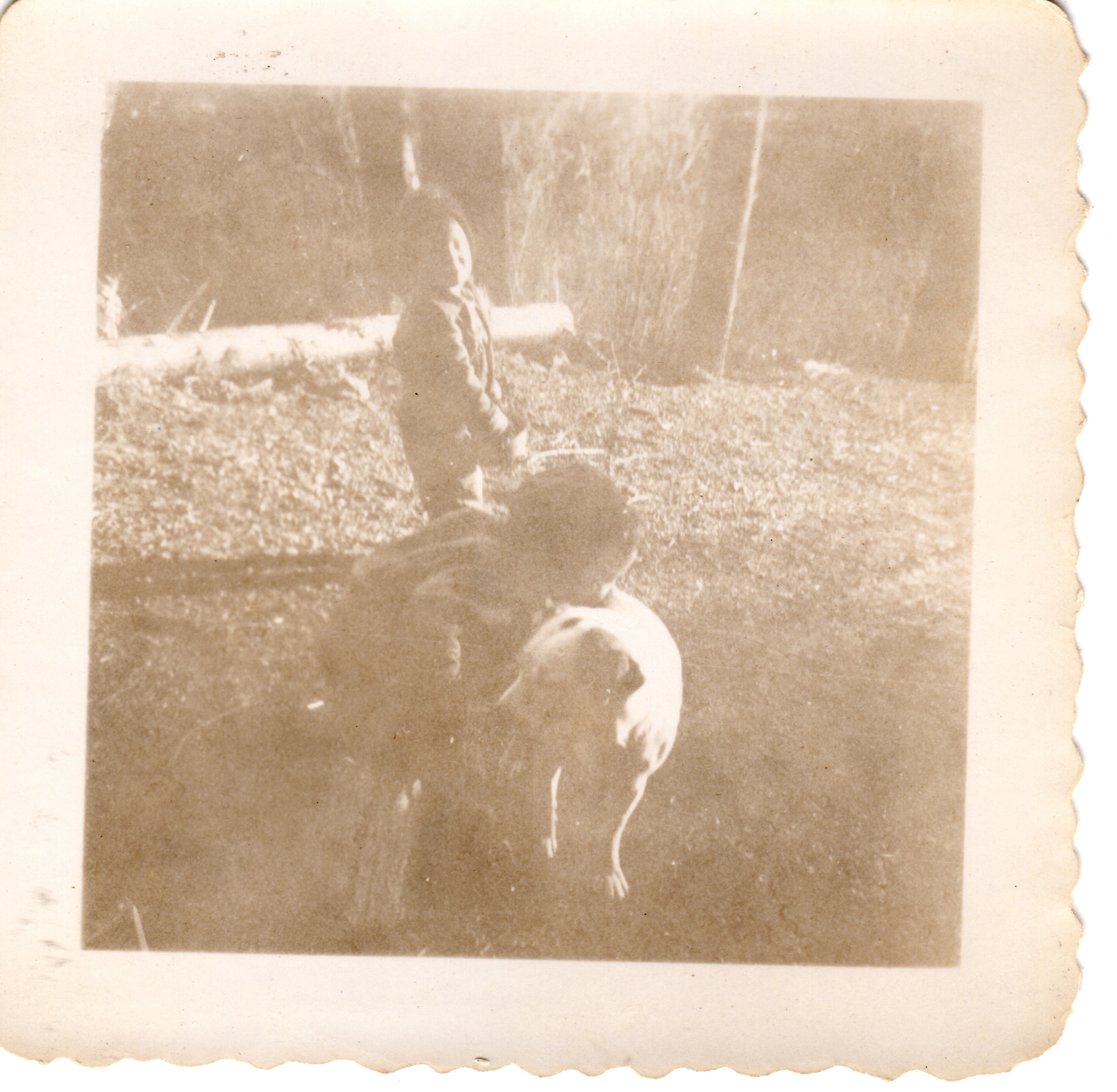 rb 9 eric bruce heegles dog 1949 1950