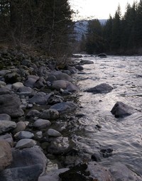 river in North Bend